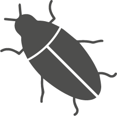 Insecticidas
