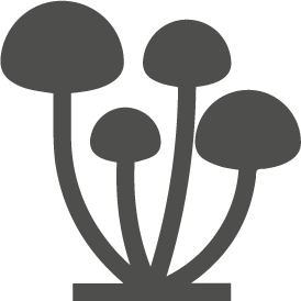 Insecticidas