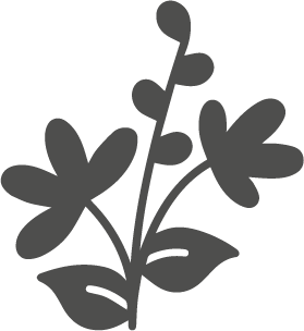Insecticidas
