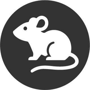 ratas