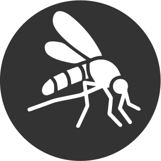 mosquitos