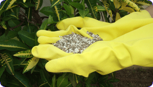 Fertilizantes